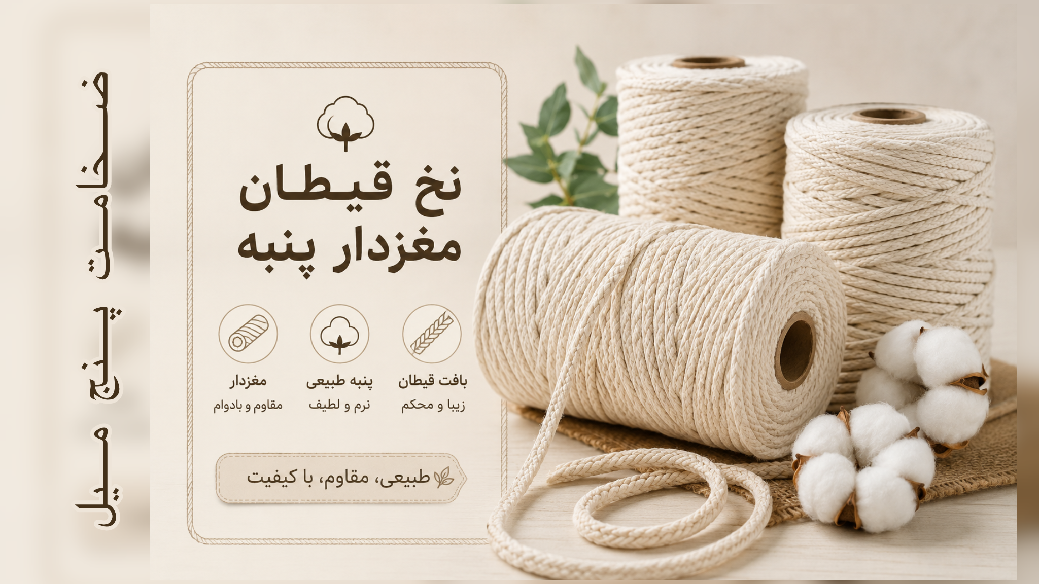 قیطان مغزدار پنبه